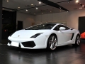 Gallardo ͼƬ