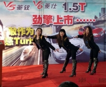 V51.5TV61.5T 