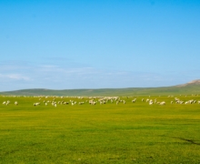 CS塰ڡǿ֮áʲŸոտʼ