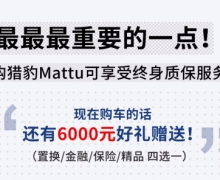 ¸ ԱMattuЯû+ʱϮ
