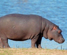 嵽еıǷ¿ѭ