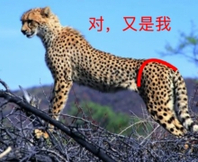 嵽еıǷ¿ѭ